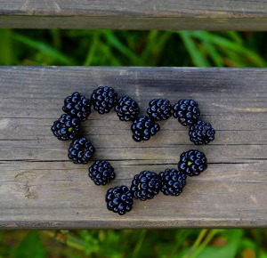 blackberrry-heart